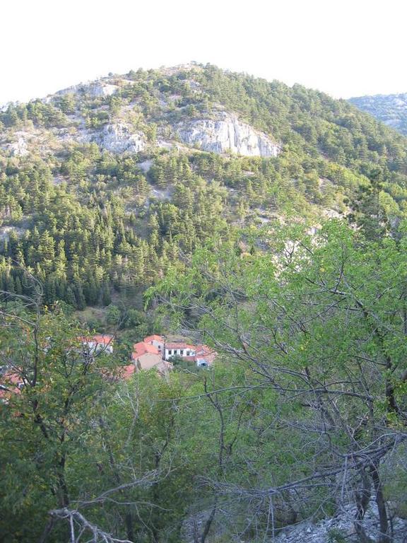 Rosandra Bed & Breakfast San Dorligo della Valle Екстериор снимка